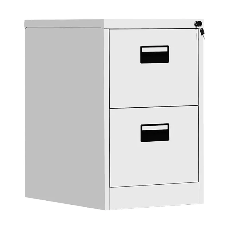 Vertical 2 Drawer File Cabinet 1