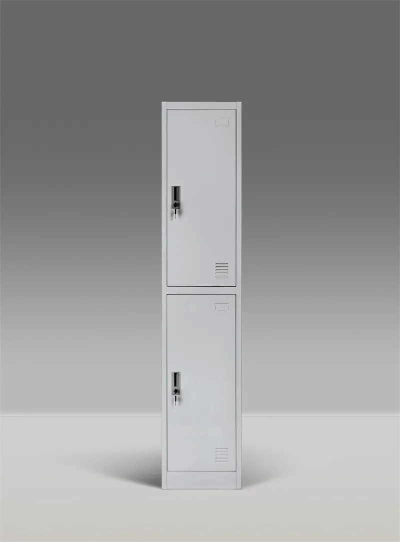 Single Steel Locker with 2 Doors One